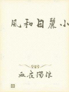 风和日丽小说