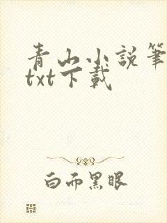青山小说笔趣阁txt下载