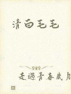 清白毛毛