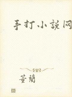 手打小说网