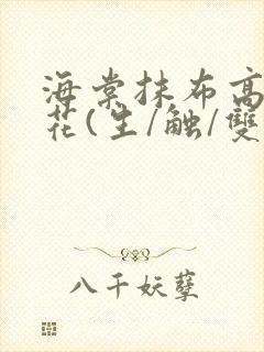 海棠抹布高岭之花(生/触/双)