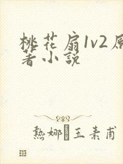 桃花扇1v2原著小说封面