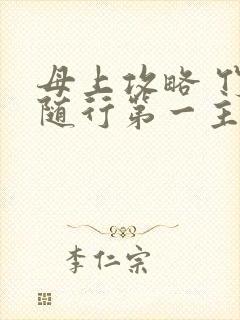 母上攻略 竹影随行第一主板