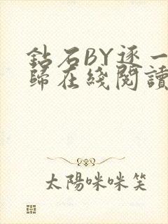 钻石BY逐一而归在线阅读