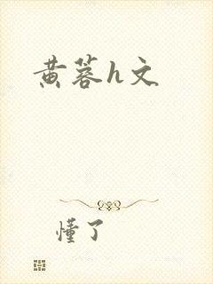 黄蓉h文