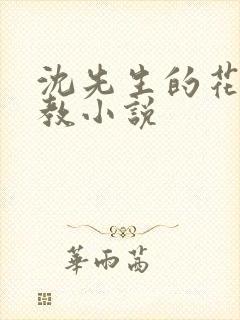 沈先生的花式管教小说封面