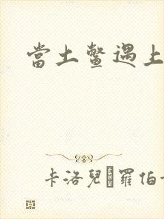 当土鳖遇上海龟