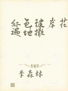 红色彼岸花花瓣遍地撒