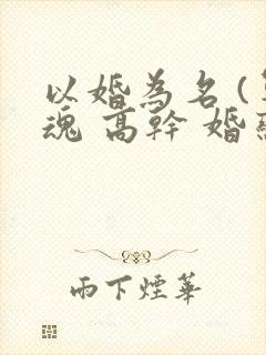 以婚为名 (军魂 高干 婚恋)