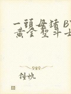 一头母猪 BY 黄金圣斗士