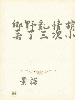 乡野乱情胡秀英丢了三次小说