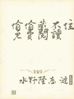 偷偷藏不住小说免费阅读