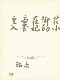 皇帝在御花园进入贵妃的小说封面