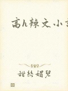 高h辣文小说封面