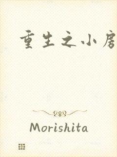 重生之小房东
