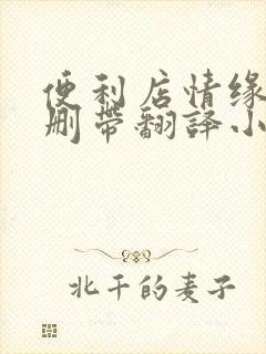 便利店情缘未增删带翻译小说封面