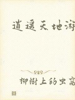 逍遥天地游封面