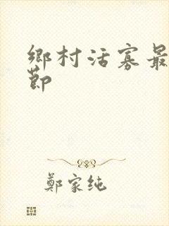 乡村活寡最新章节