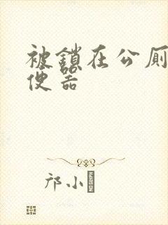 被锁在公厕当坐便器