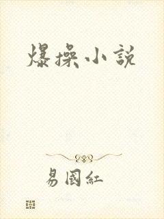 爆操小说