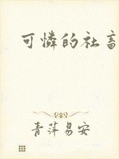 可怜的社畜分手