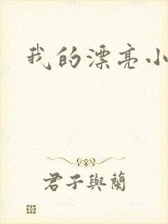 我的漂亮小后妈