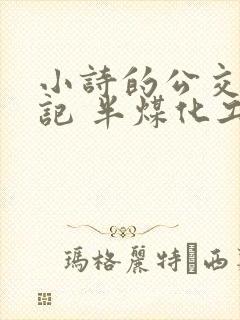 小诗的公交车日记 半煤化工