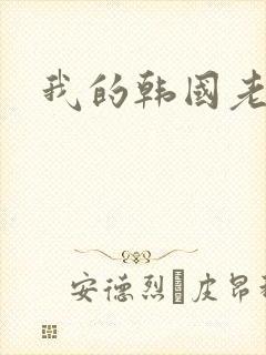 我的韩国老婆封面