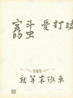 宫斗 爱打瞌睡的虫封面