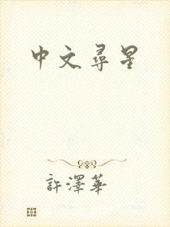 中文寻星
