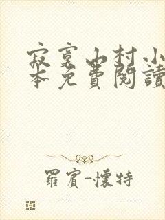 寂寞山村小说全本免费阅读封面