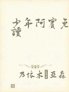 少年阿宾免费阅读