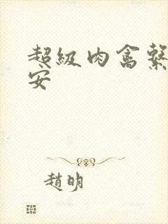 超级肉禽系统保安封面