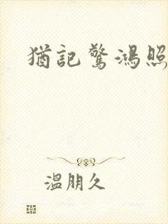 犹记惊鸿照影封面