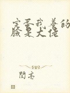 完蛋我养的小白脸是大佬