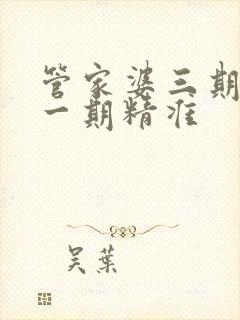 管家婆三期必开一期精准