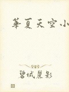 华夏天空小说网