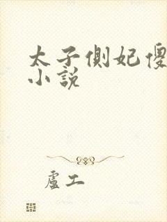 太子侧妃傻乎乎小说