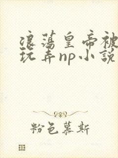 浪荡皇帝被多人玩弄np小说