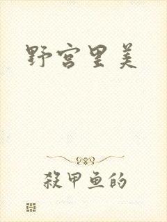 野宫里美封面