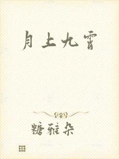 月上九霄封面