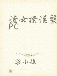 渣女撩汉系统NPC