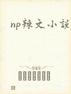 np辣文小说