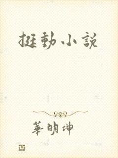 挺动小说