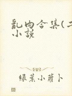 乱肉合集(二)小说