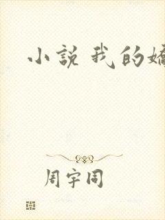 小说 我的娇妻