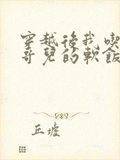 穿越后我吃到了哥儿的软饭炉山灰