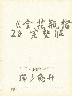 《金花瓶楷梅花2》完整版