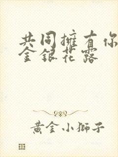 共同拥有你by金银花露封面