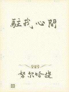 驻我心间